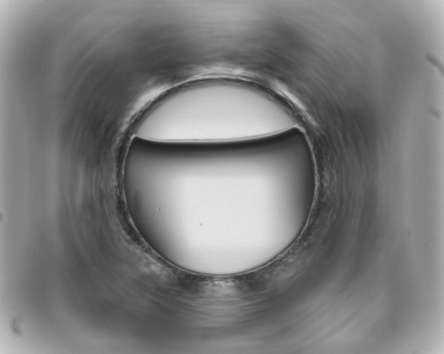 X0000096411315200801241016