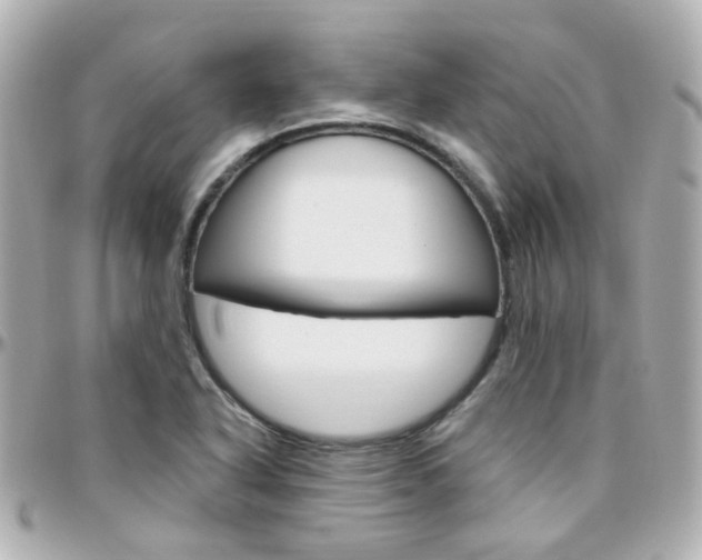 X0000096411318200801241016