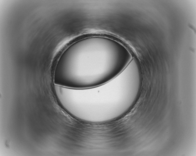 X0000096411319200801241016