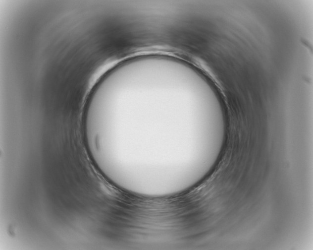 X0000096411320200801241017