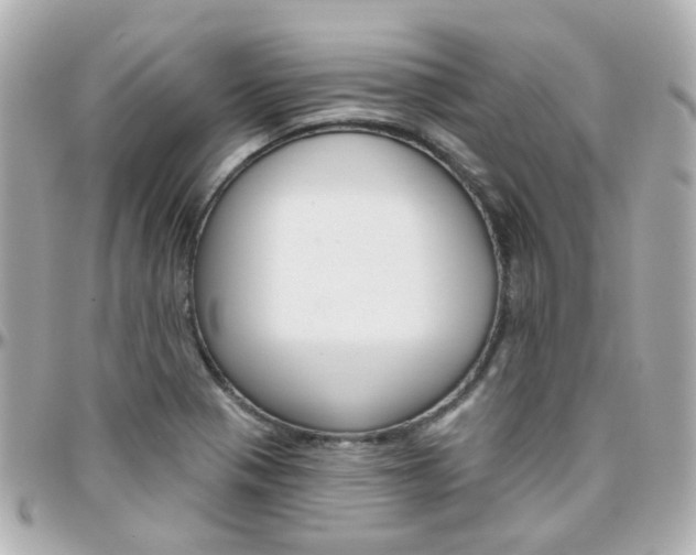X0000096411321200801241017