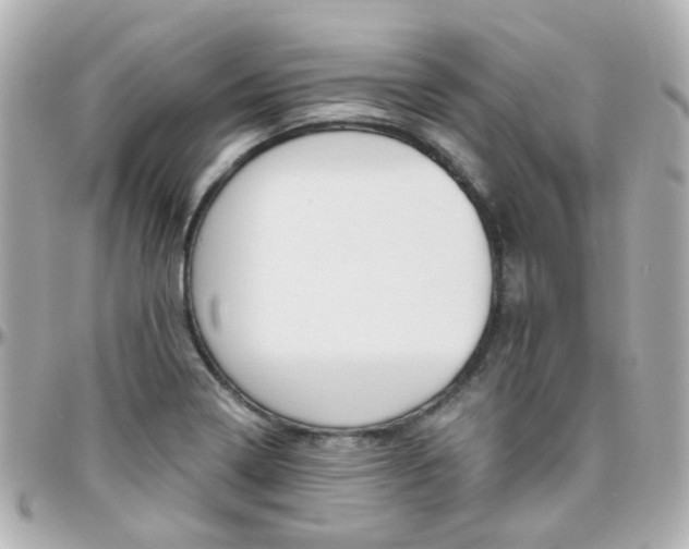 X0000096411322200801241017