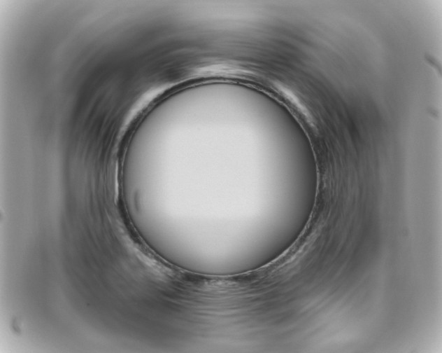 X0000096411323200801241017