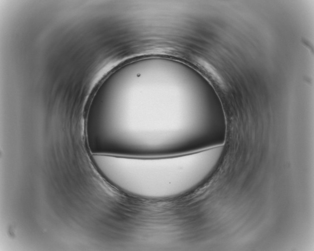 X0000096411324200801241017