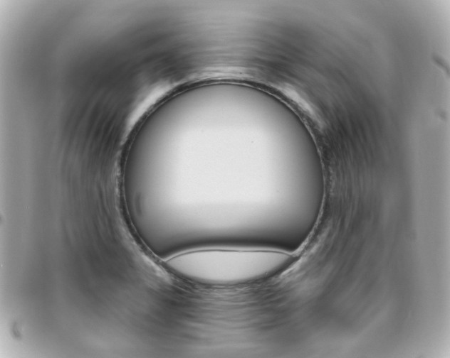X0000096411325200801241017