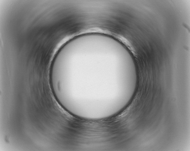 X0000096411326200801241017