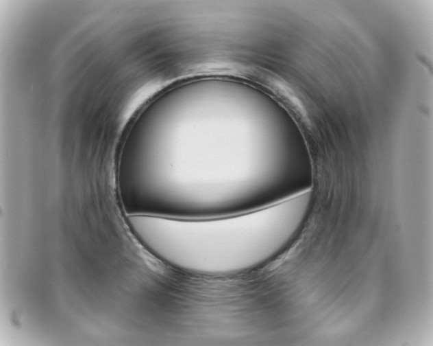 X0000096411328200801241017