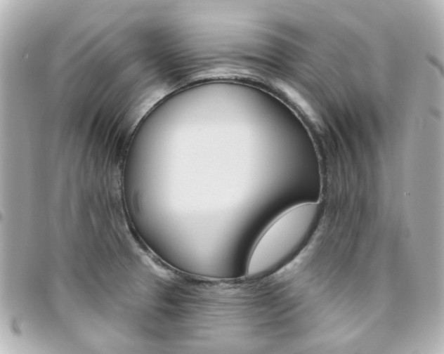 X0000096411329200801241017