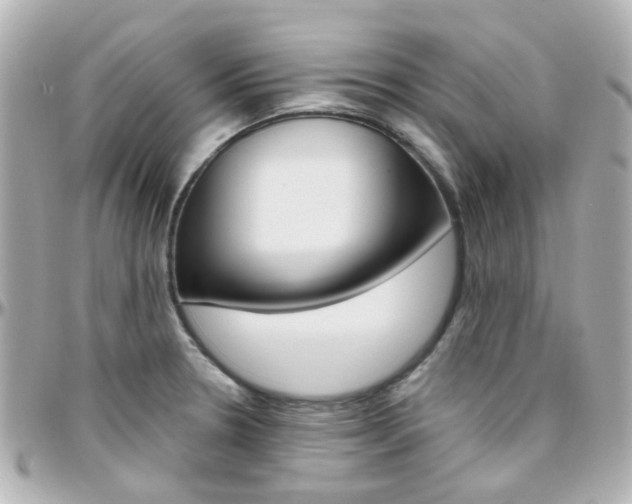 X0000096411330200801241017