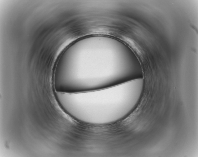 X0000096411331200801241017