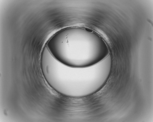 X0000096411332200801241017