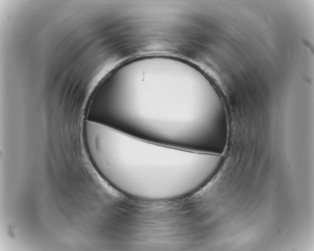 X0000096411333200801241017