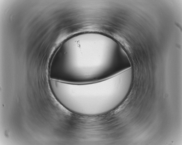 X0000096411334200801241017