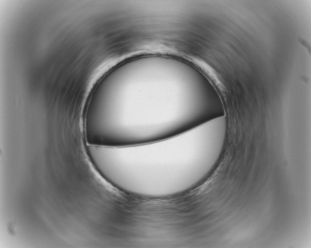 X0000096411335200801241017
