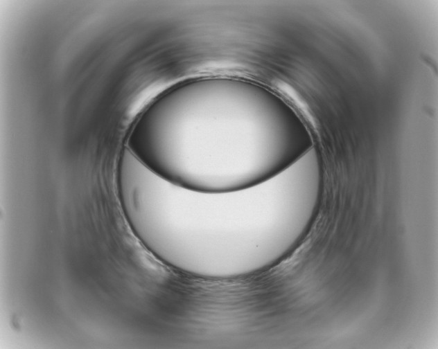 X0000096411336200801241017