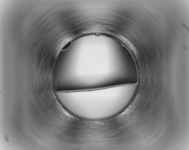 X0000096411337200801241017