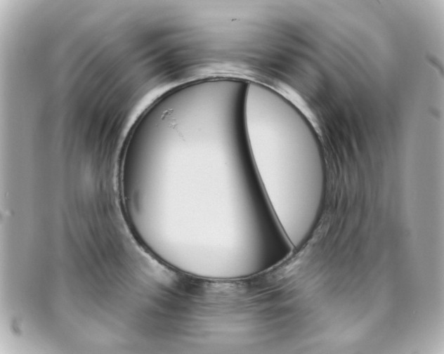 X0000096411339200801241017