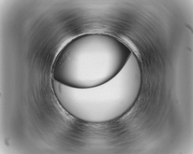 X0000096411340200801241017