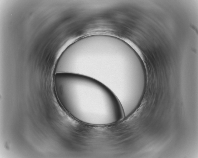 X0000096411341200801241017