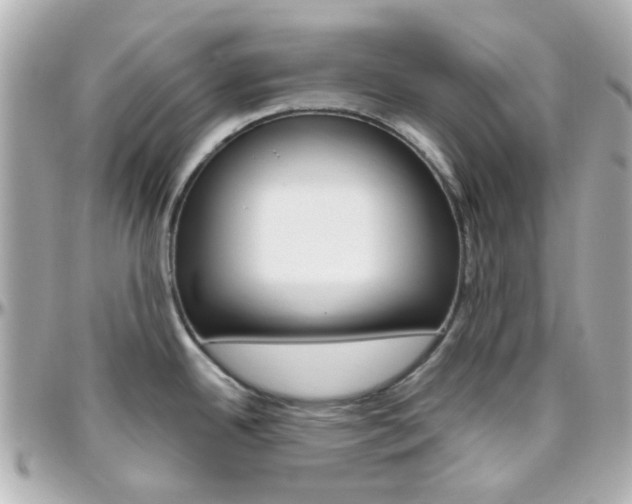 X0000096411342200801241017