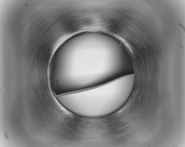 X0000096411343200801241017
