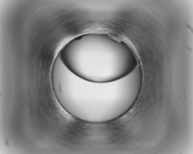X0000096411344200801241017