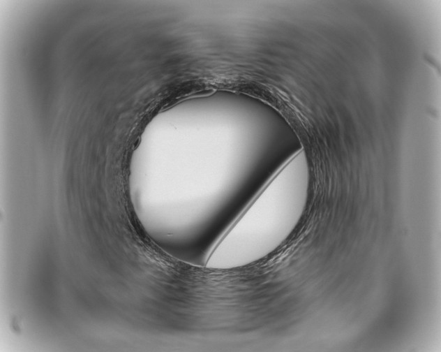 X0000096411345200801241016