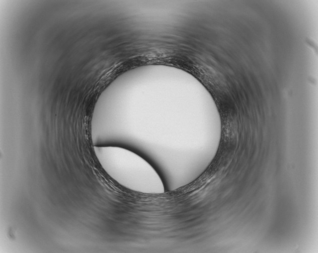 X0000096411346200801241016