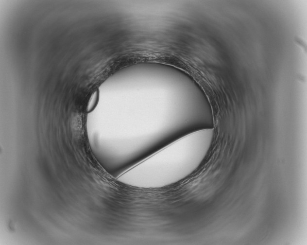 X0000096411347200801241016