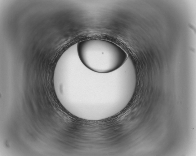 X0000096411348200801241016