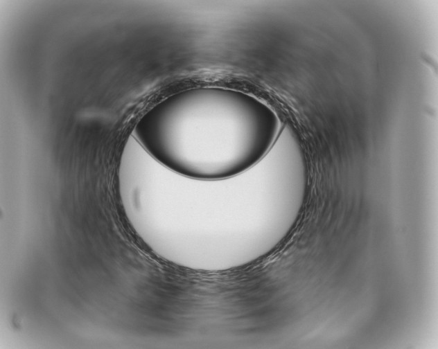 X0000096411349200801241016