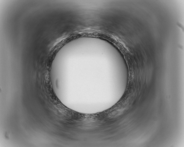 X0000096411350200801241016