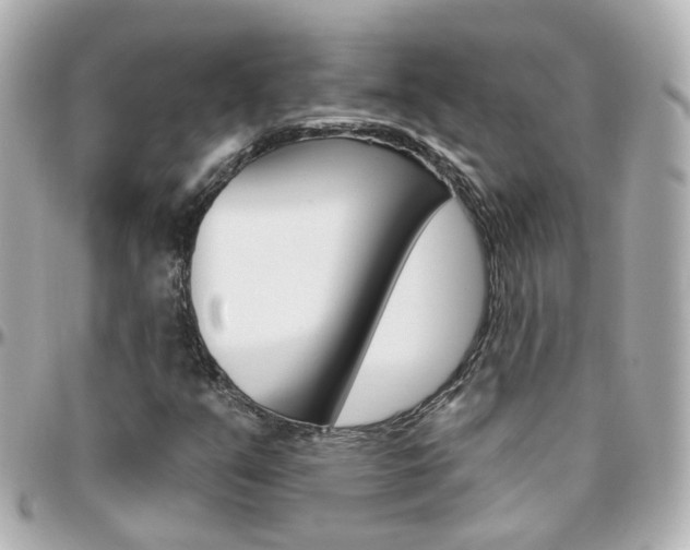 X0000096411351200801241016