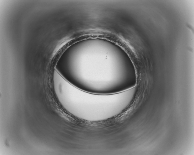 X0000096411352200801241016