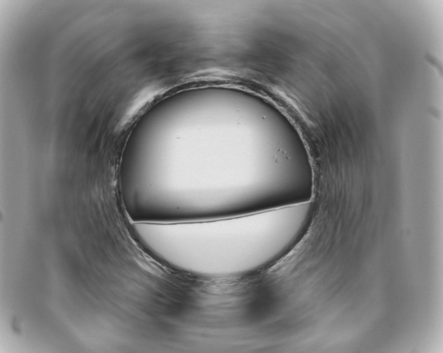 X0000096411355200801241016