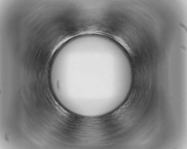 X0000096411356200801241016