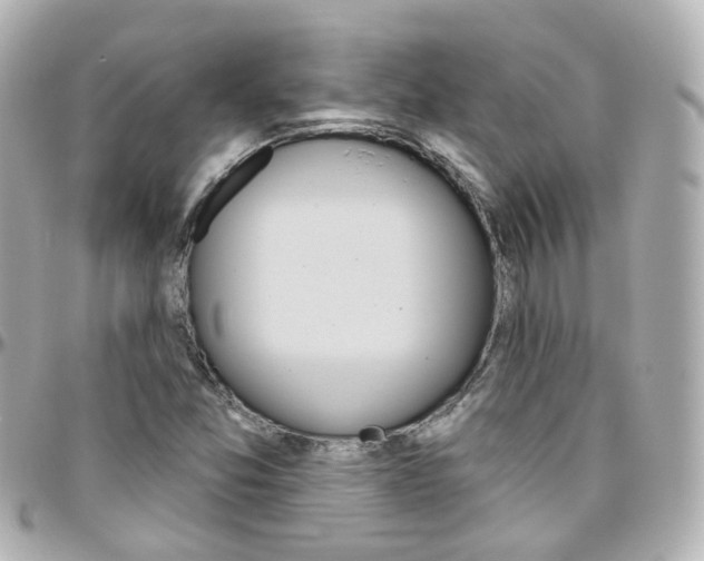 X0000096411357200801241016
