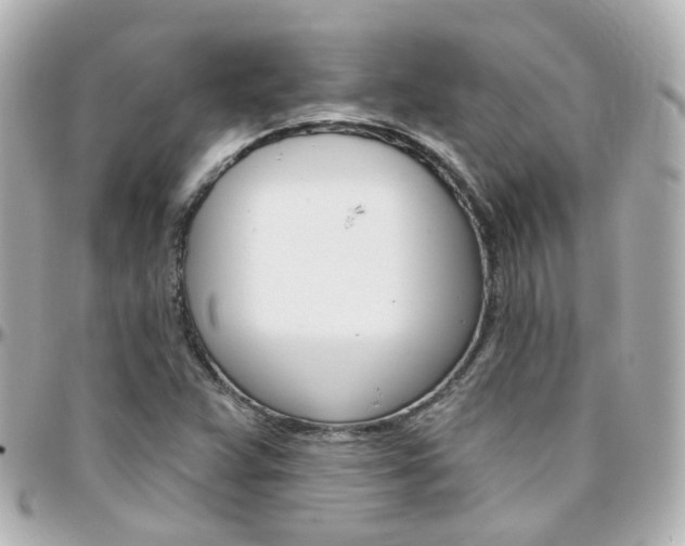 X0000096411359200801241016