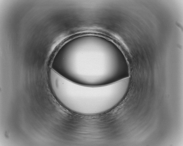 X0000096411360200801241016