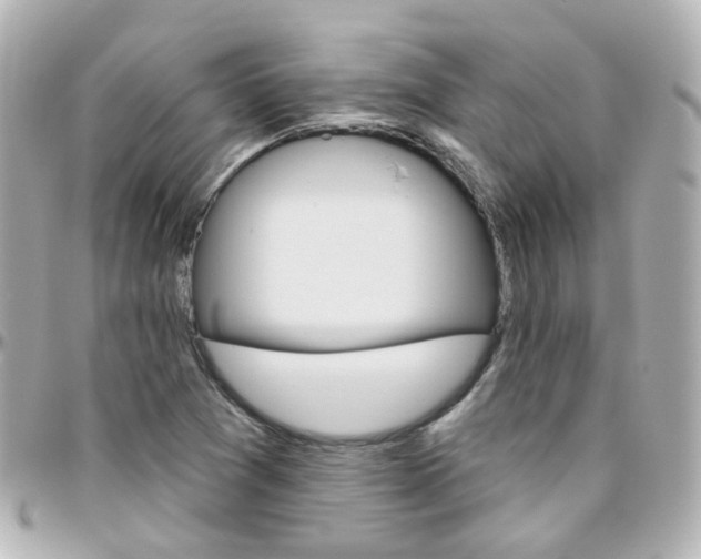 X0000096411361200801241016