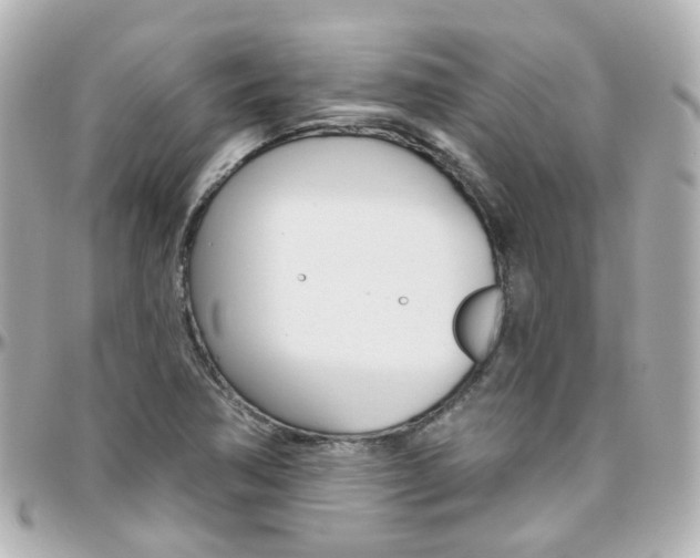X0000096411362200801241016