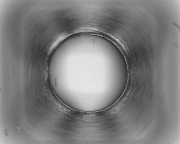 X0000096411363200801241016