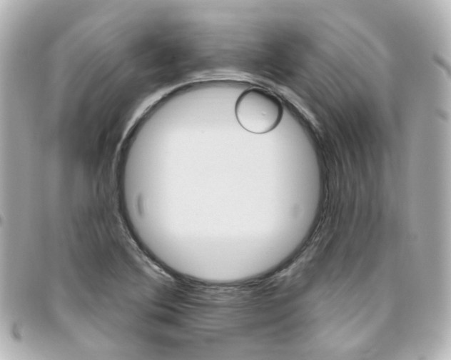 X0000096411364200801241016