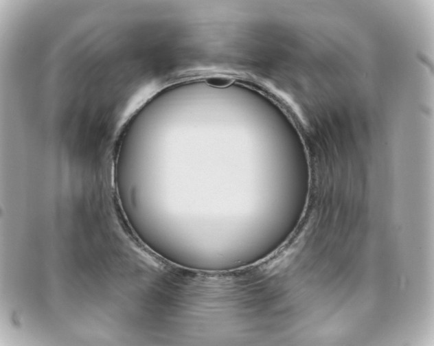 X0000096411365200801241016