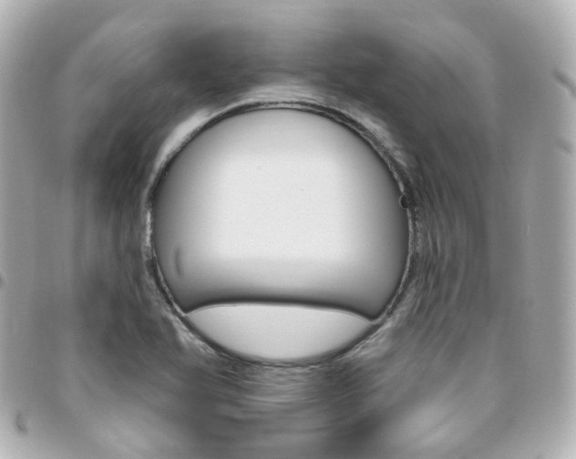 X0000096411366200801241016