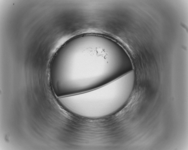X0000096411367200801241016