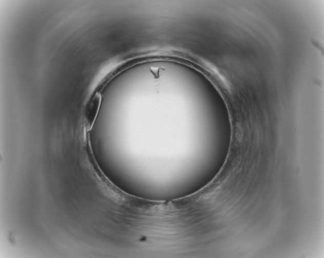 X0000096411368200801241016