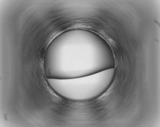 X0000096411369200801241016