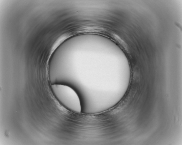 X0000096411370200801241016