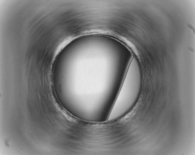 X0000096411373200801241016